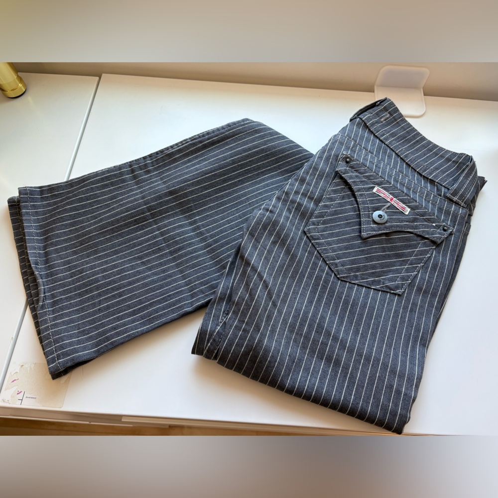 Hudson Low Rise Gray Stripe Stretch Flare Jeans Size 24 25